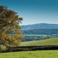 B&B Church Stretton Shropshire